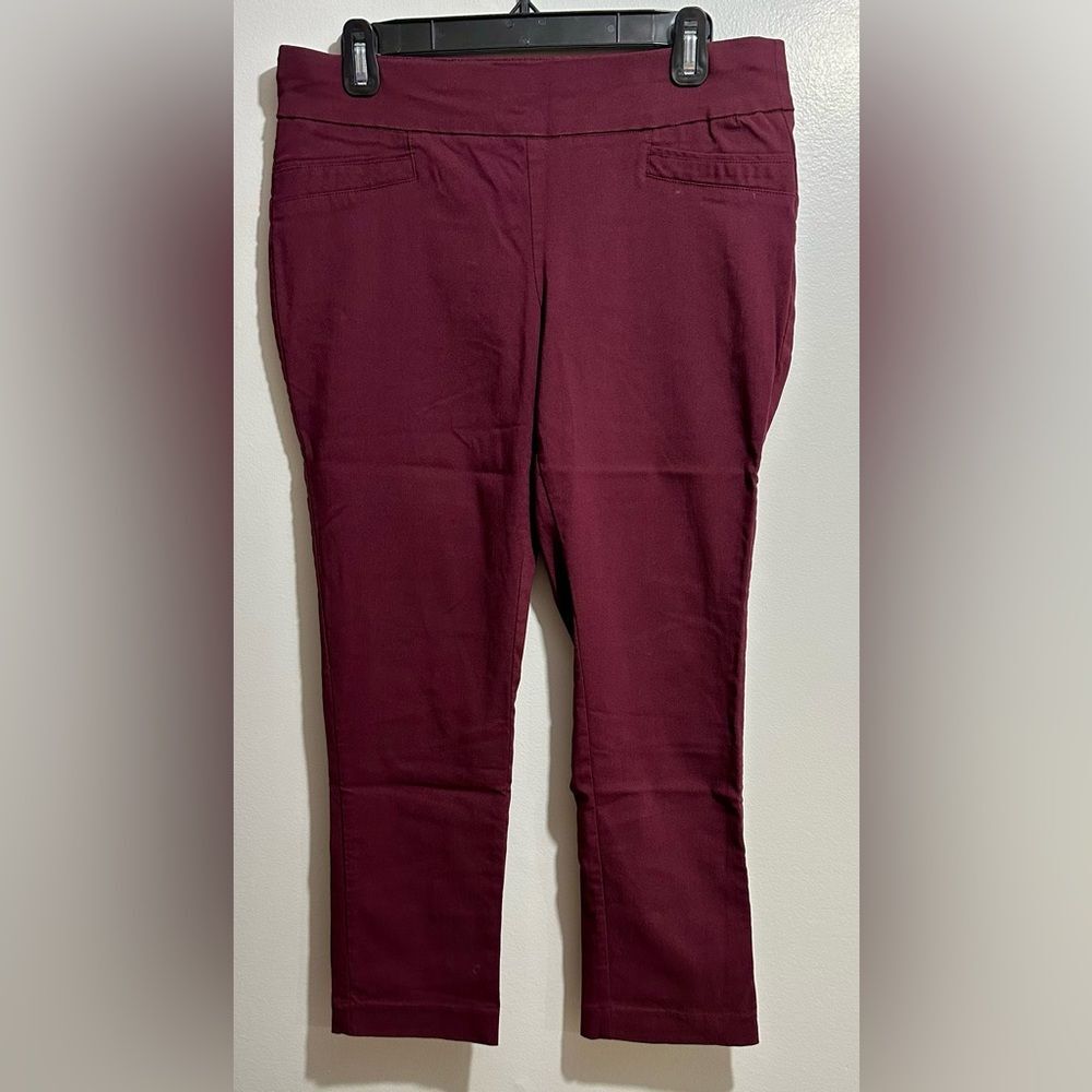 Joe B Burgundy Trousers (221)